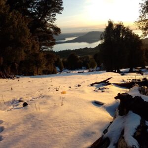 Imperdible Terreno De 4 Ha / Vista Lagos/volcanes Puyehue