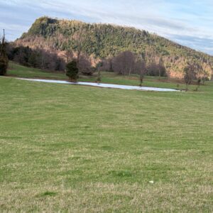 Campo en venta – Sector Filipulli, Lago Ranco