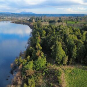 Parcelas Premium en Lago Puyehue Vista y Acceso al Lago