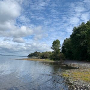 Hermosa Parcela Lago Puyehue 1ra Linea / Mantilhue