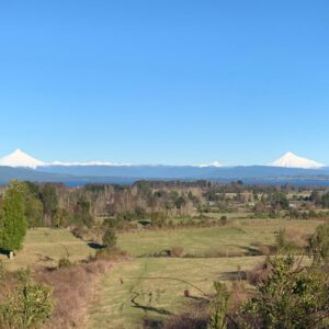 10 Hectáreas Con Hermosas Vistas Lago Puyehue