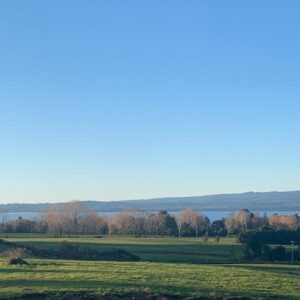 Todas Las Postales Del Sur en Alto Puyehue desde 1.364 UF