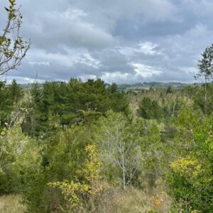 Venta de Parcelas Camino a La Misión - 18 Km De Osorno