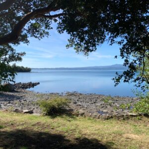 Parcela Con Cabaña / 1ra Línea Orilla Lago Puyehue