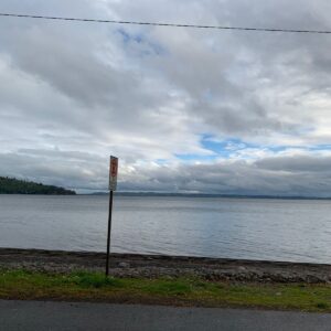 Parcela Urbanizada 250 Mts De Playa Mantilhue / Lago Puyehue