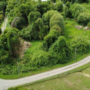 Parcela en Venta – 7.680 m² | Condominio Consolidado | Camino a Las Quemas, Osorno