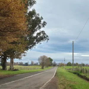 Ideales Parcelas Urbanizadas a 10 Minutos De Osorno