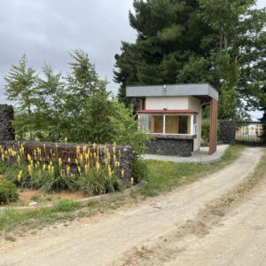 Parcela en venta – 5.000 m² a sólo 15 minutos de Osorno | Camino a Trumao