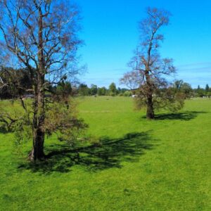 Parcelas en Crucero, Río Bueno | Naturaleza y Vida De Campo